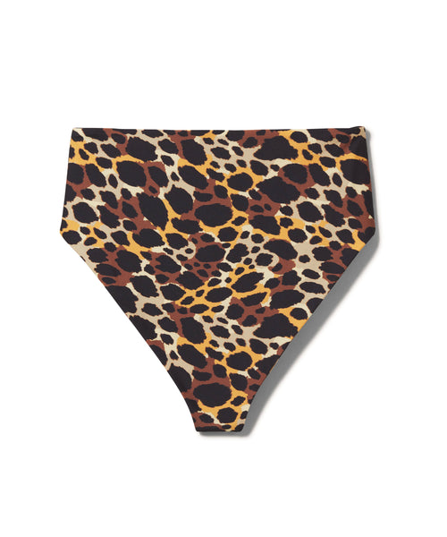 D Street Bottom | Clouded Leopard